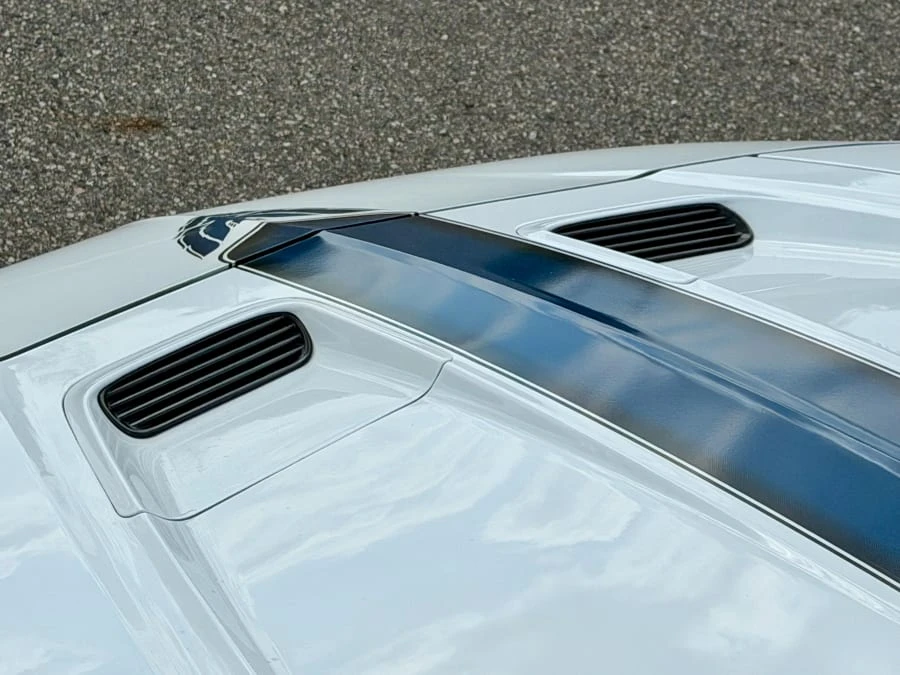 1994 Pontiac Firebird Trans Am 4th Gen - Image 8 of 29
