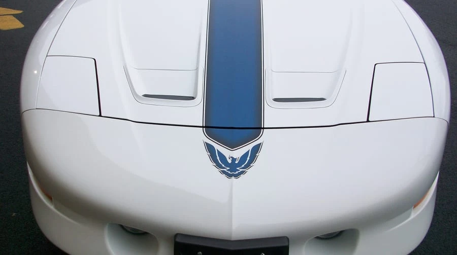 1994 Pontiac Firebird Trans Am 4th Gen - Image 10 of 10