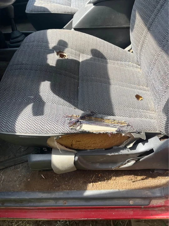 1994 Toyota 4Runner 2nd Gen - Image 8 of 11