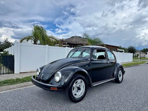 1994 Volkswagen Beetle Fire Beetle Edition
