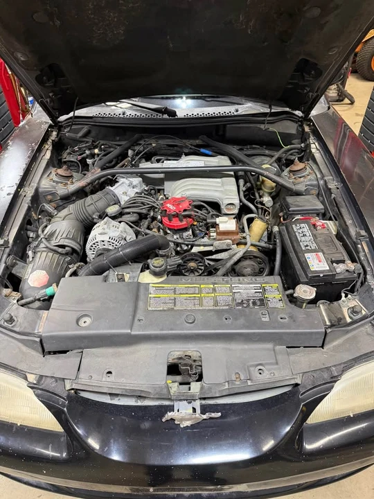 1994 Ford SN95 Mustang - Image 2 of 8
