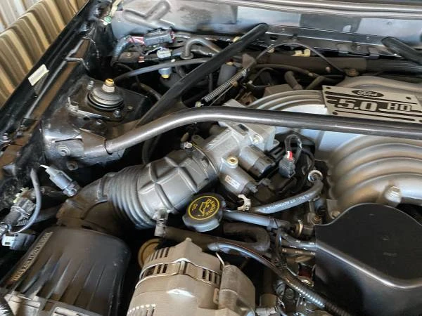 1994 Ford SN95 Mustang - Image 13 of 21
