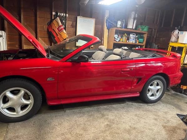 1994 Ford SN95 Mustang - Image 7 of 17