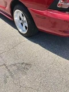 1994 Ford SN95 Mustang - Image 8 of 8