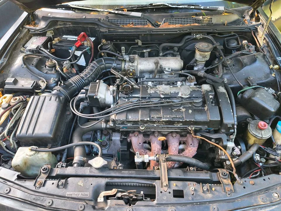 1995 Acura Integra 3rd Gen - Image 8 of 8