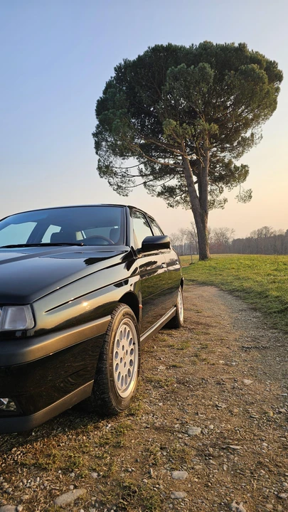 1995 Alfa Romeo 155 - Image 19 of 31