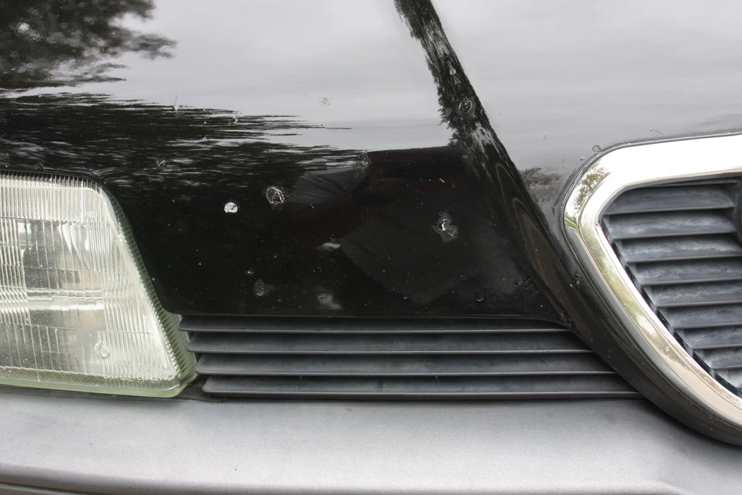 1995 Alfa Romeo 164 Quadrifoglio Verde - Image 16 of 31