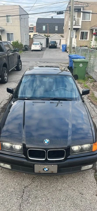 1995 BMW 3 Series - Image 13 of 13