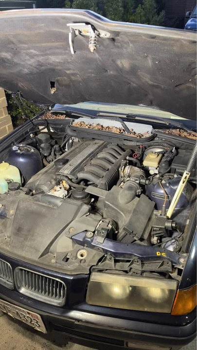 1995 BMW E36 3 Series - Image 6 of 6