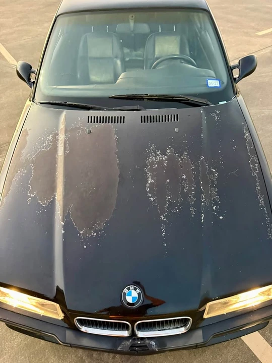 1995 BMW E36 M3 - Image 15 of 20