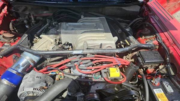 1995 Ford SN95 Mustang - Image 5 of 8