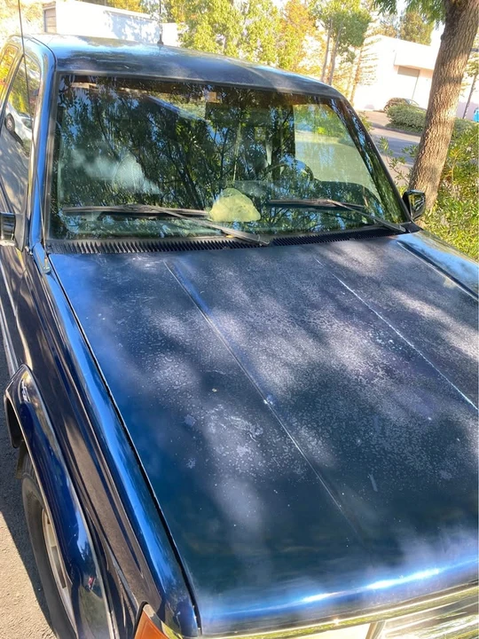 1995 Chevrolet C/K 4th Gen - Image 7 of 7
