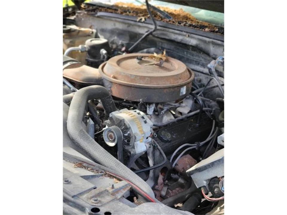 1995 Chevrolet C/K 4th Gen - Image 8 of 12