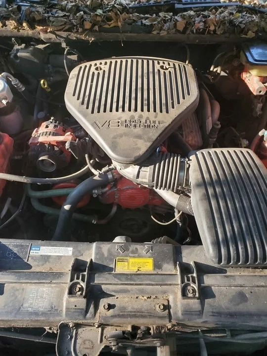 1995 Chevrolet Caprice - Image 8 of 10