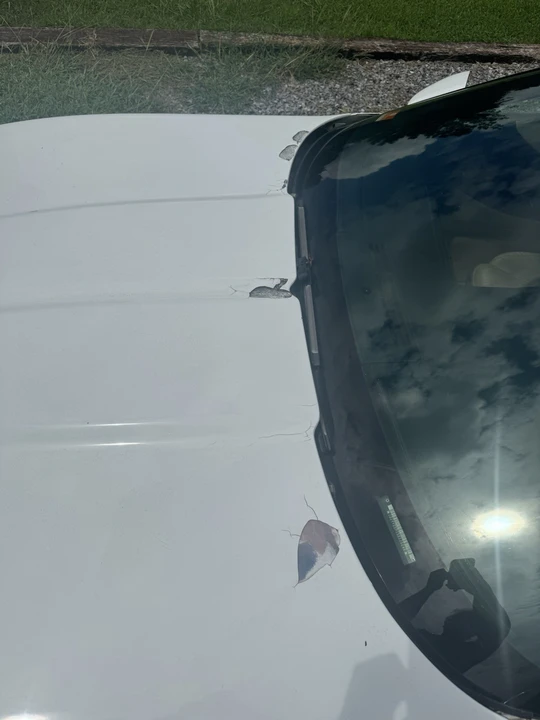 1995 Chevrolet Corvette C4 - Image 6 of 14