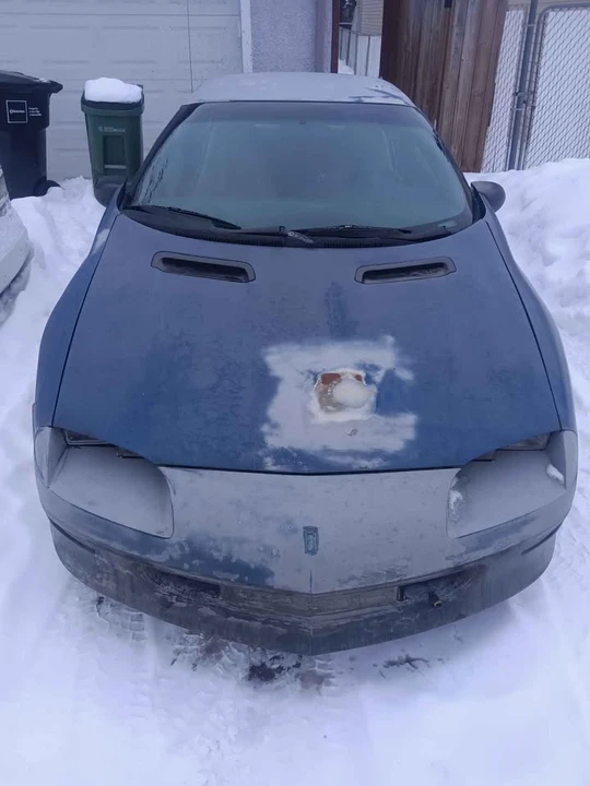 1995 Chevrolet Camaro 4th Gen - Image 3 of 8