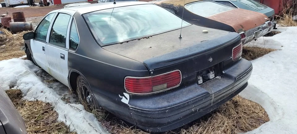 1995 Chevrolet Caprice - Image 14 of 19