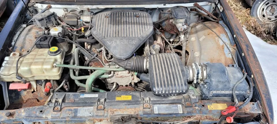 1995 Chevrolet Caprice - Image 4 of 19