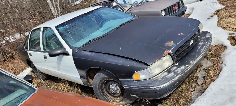 1995 Chevrolet Caprice - Image 3 of 19