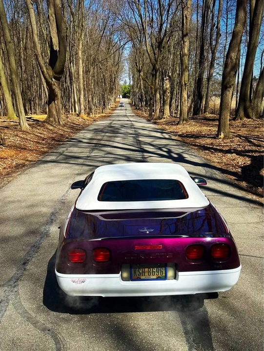 1995 Chevrolet Corvette C4 - Image 9 of 16