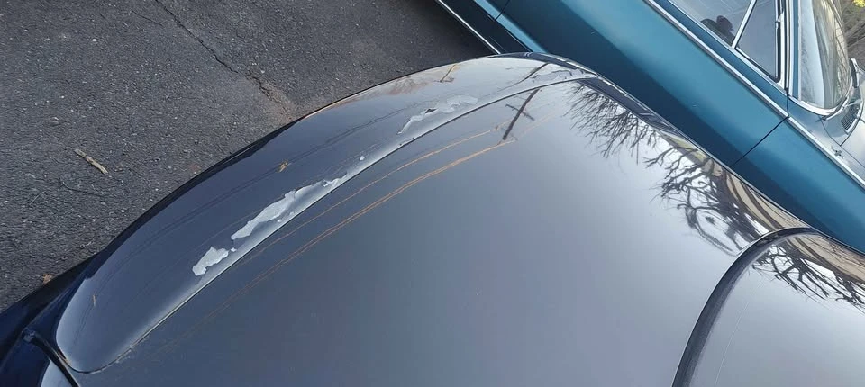 1995 Chevrolet Impala 7th Gen - Image 6 of 6