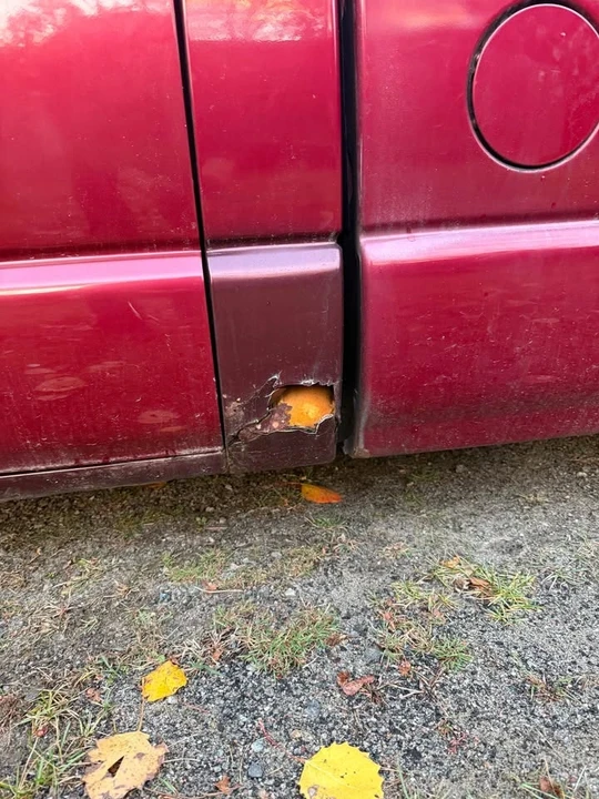 1995 Chevrolet S-10 - Image 11 of 20