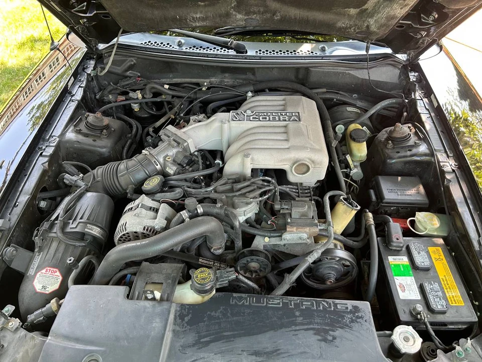 1995 Ford SN95 Mustang Cobra - Image 9 of 11
