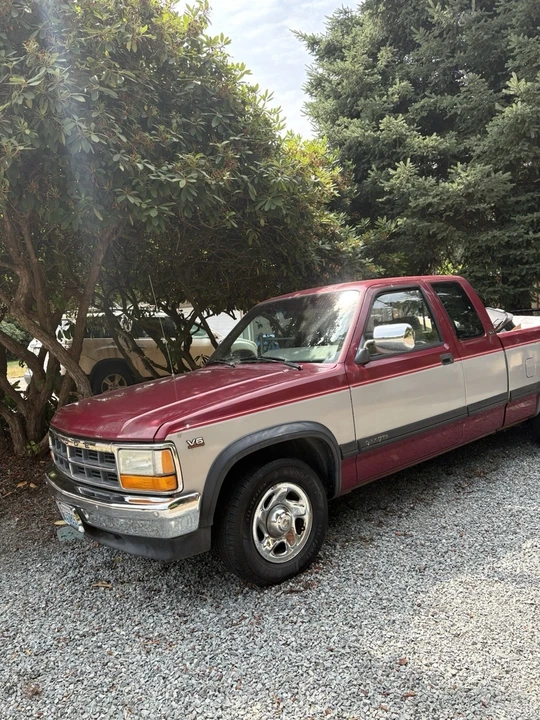 1995 Dodge Dakota 1st Gen - Image 18 of 19