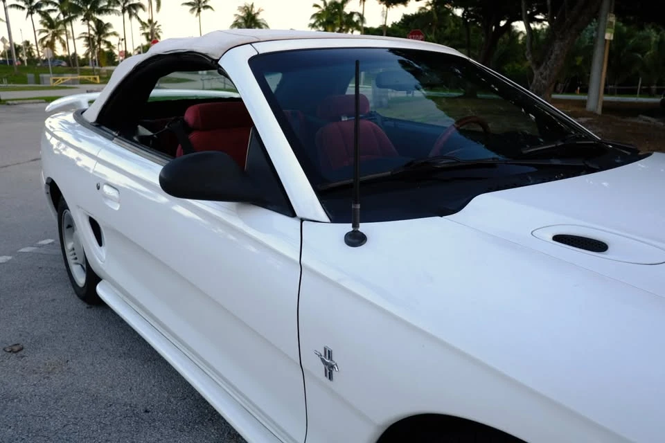 1995 Ford SN95 Mustang - Image 18 of 19