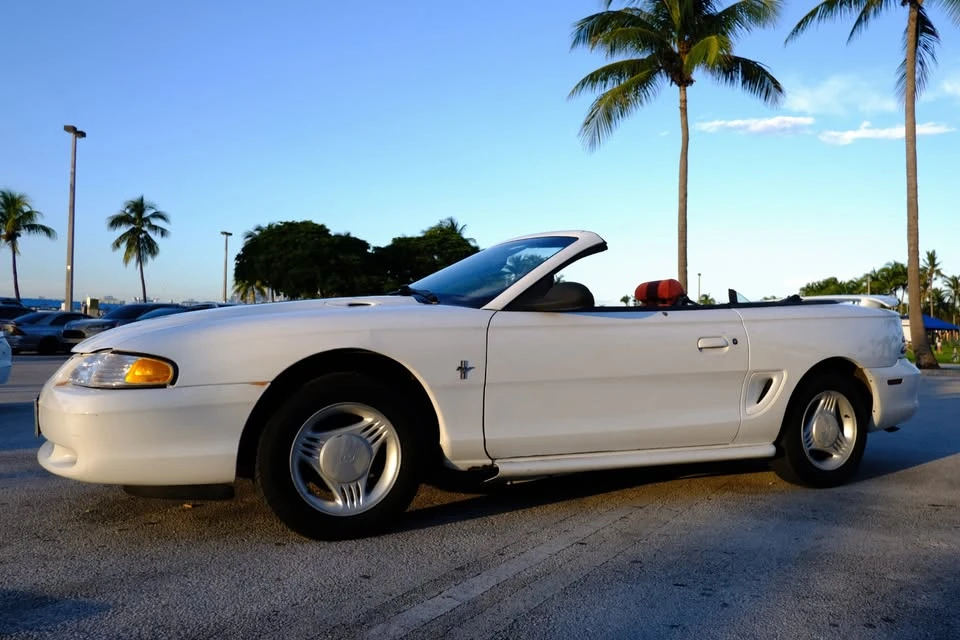 1995 Ford SN95 Mustang - Image 15 of 19