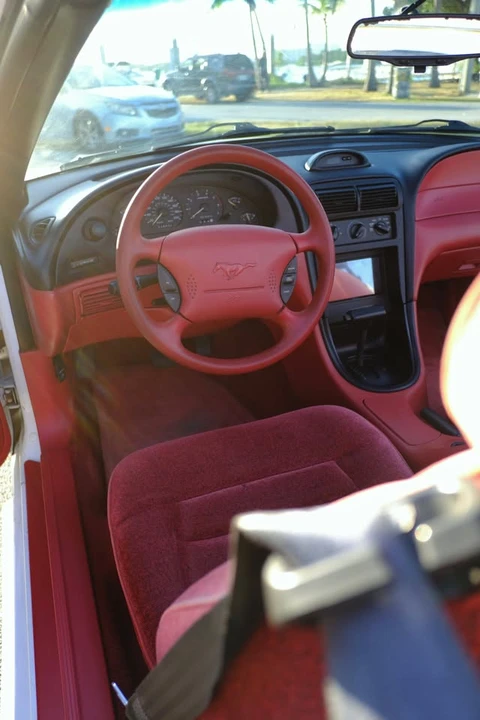 1995 Ford SN95 Mustang - Image 8 of 19