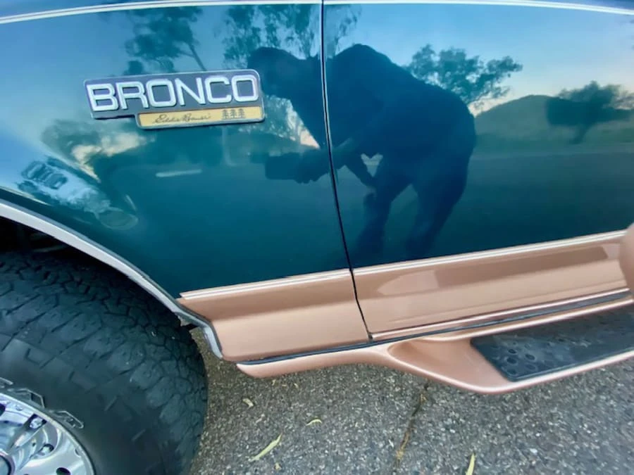 1995 Ford Bronco 5th Gen - Image 23 of 31
