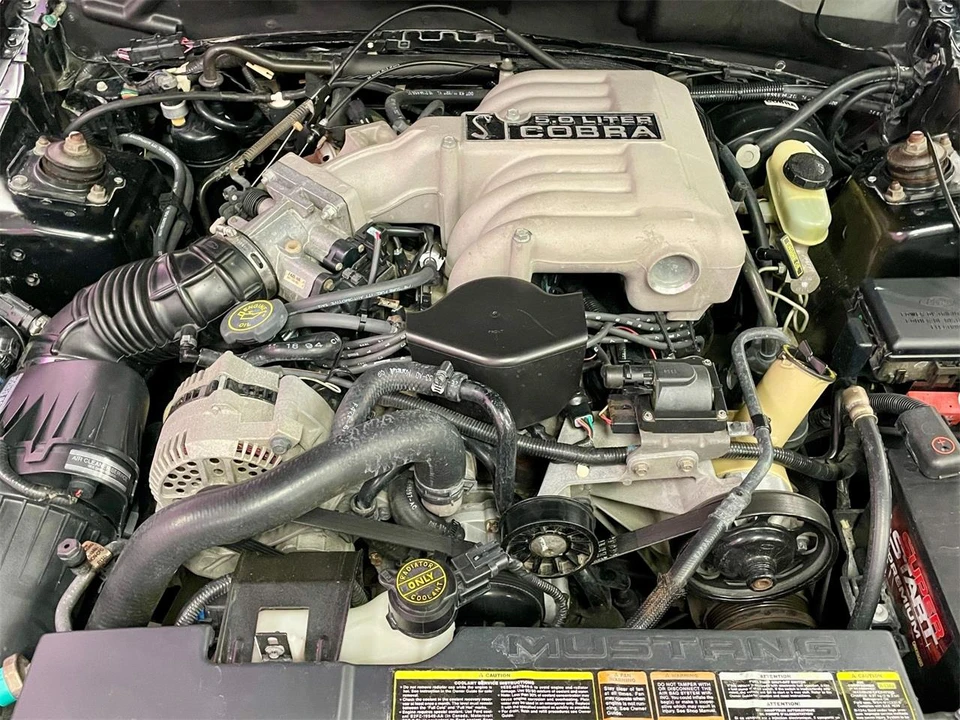 1995 Ford SN95 Mustang Cobra - Image 8 of 31
