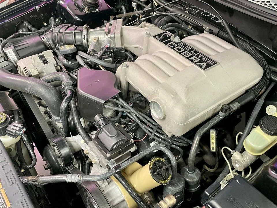 1995 Ford SN95 Mustang Cobra - Image 7 of 31