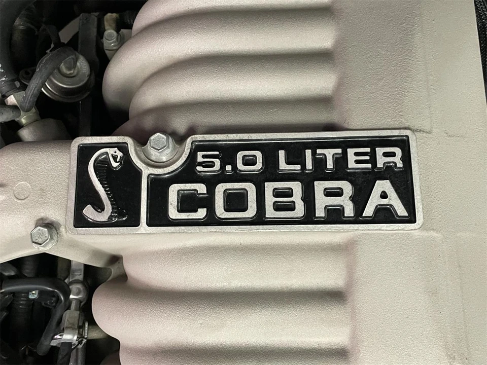 1995 Ford SN95 Mustang Cobra - Image 14 of 31