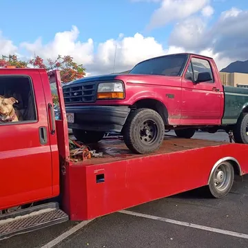 1995 Ford F-150 FX2