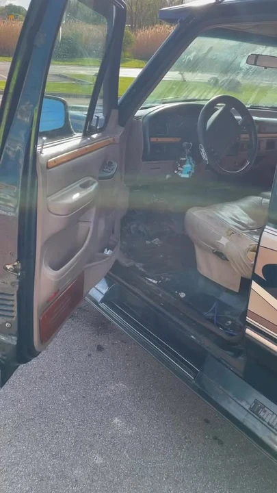 1995 Ford F-Series 9th Gen - Image 12 of 12