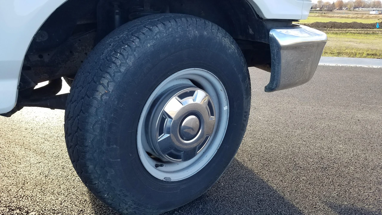 1995 Ford F-Series 9th Gen - Image 30 of 31