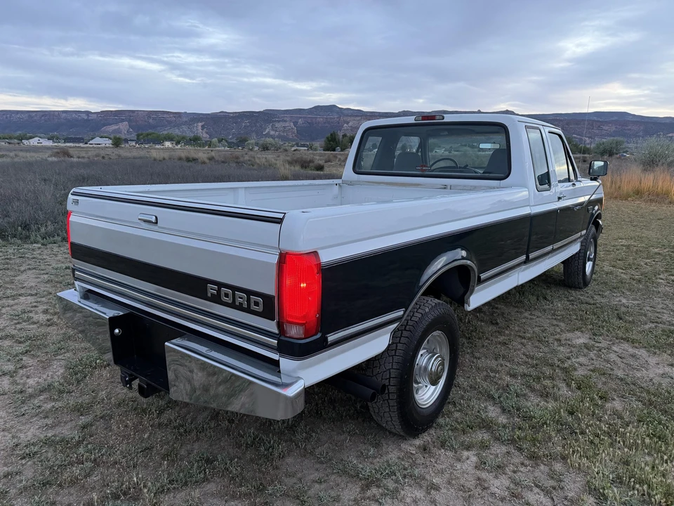 1995 Ford F-Series 9th Gen - Image 13 of 31
