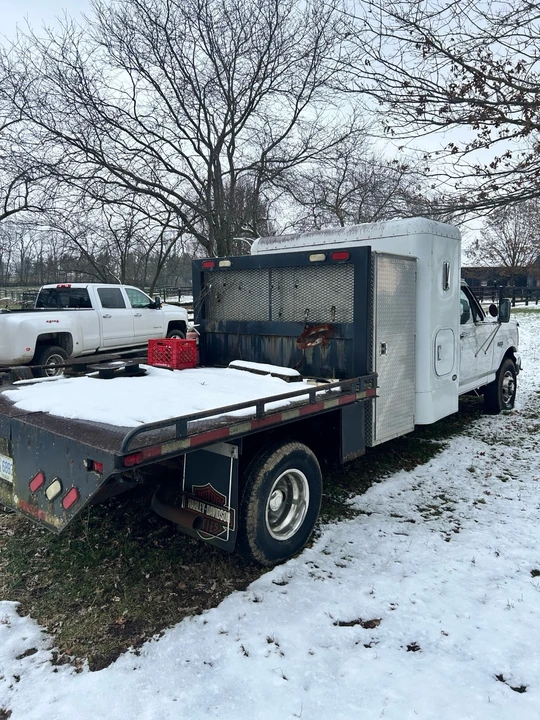 1995 Ford Super Duty 1st Gen - Image 3 of 14