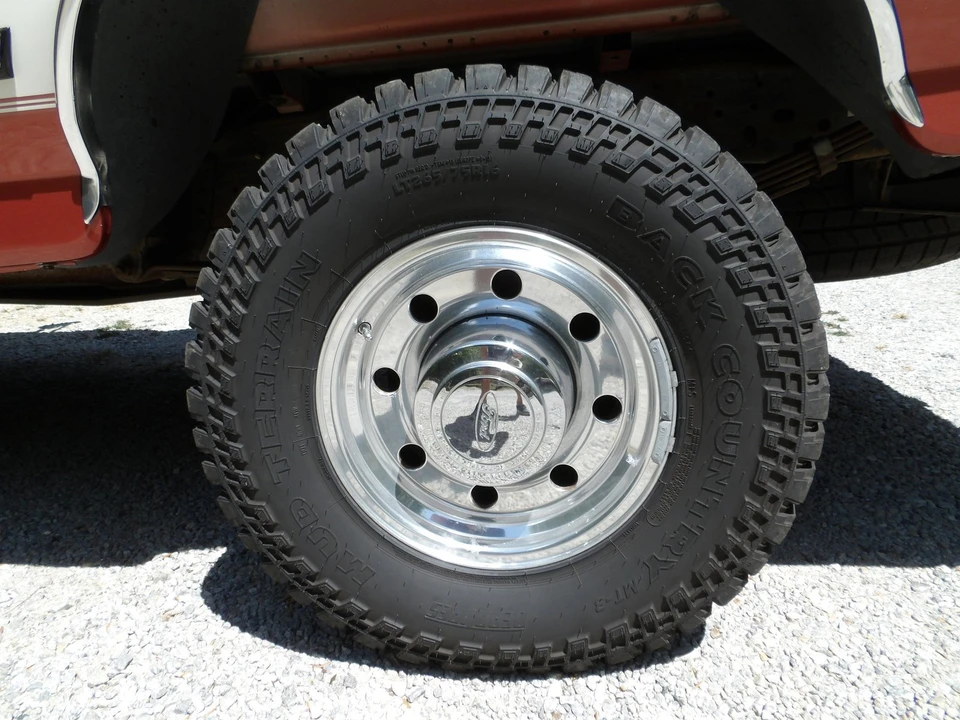 1995 Ford F-Series 9th Gen - Image 8 of 24