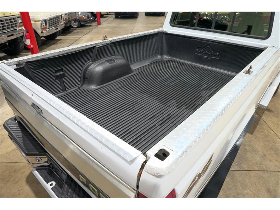 1995 Ford F-Series 9th Gen - Image 20 of 31
