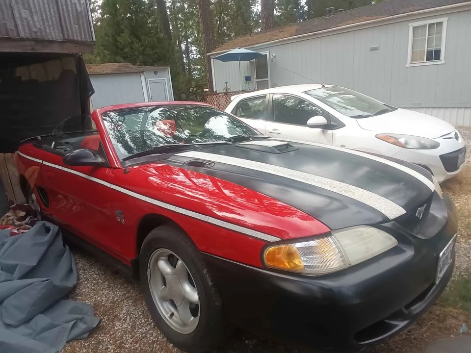 1995 Ford SN95 Mustang - Image 3 of 5