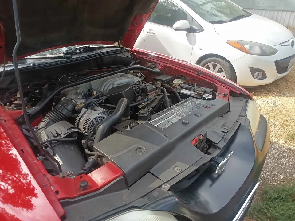 1995 Ford SN95 Mustang - Image 2 of 5