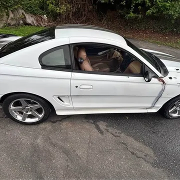 1995 Ford GT Coupe 2D