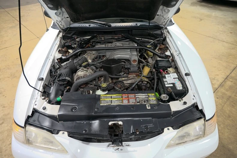 1995 Ford SN95 Mustang - Image 12 of 14