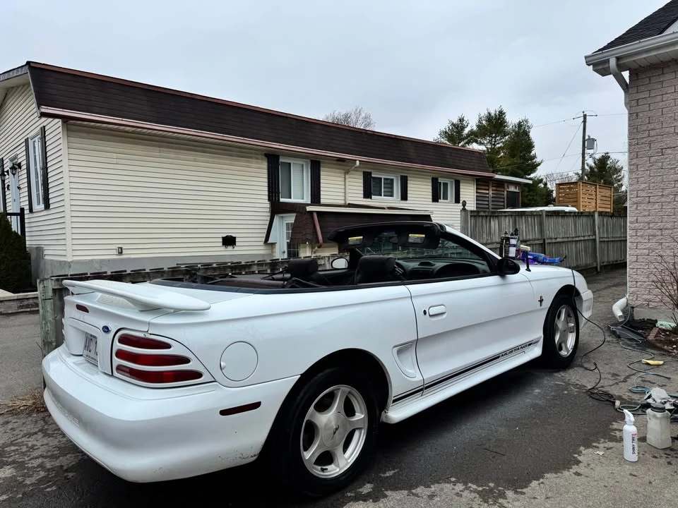 1995 Ford SN95 Mustang - Image 5 of 9