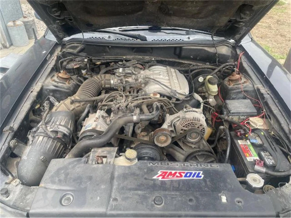 1995 Ford SN95 Mustang - Image 5 of 11