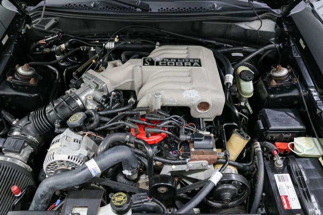 1995 Ford SN95 Mustang - Image 22 of 31