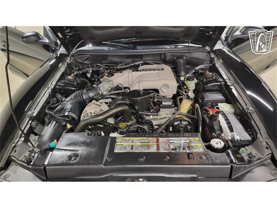 1995 Ford SN95 Mustang - Image 10 of 31